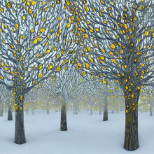 Winter 5