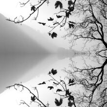 In a Silent Way - Requiem  ( Rest ) 9